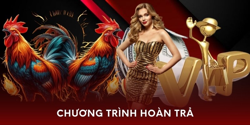 Chương trình hoàn trả