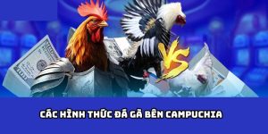 Các Hình Thức Đá Gà bên Campuchia